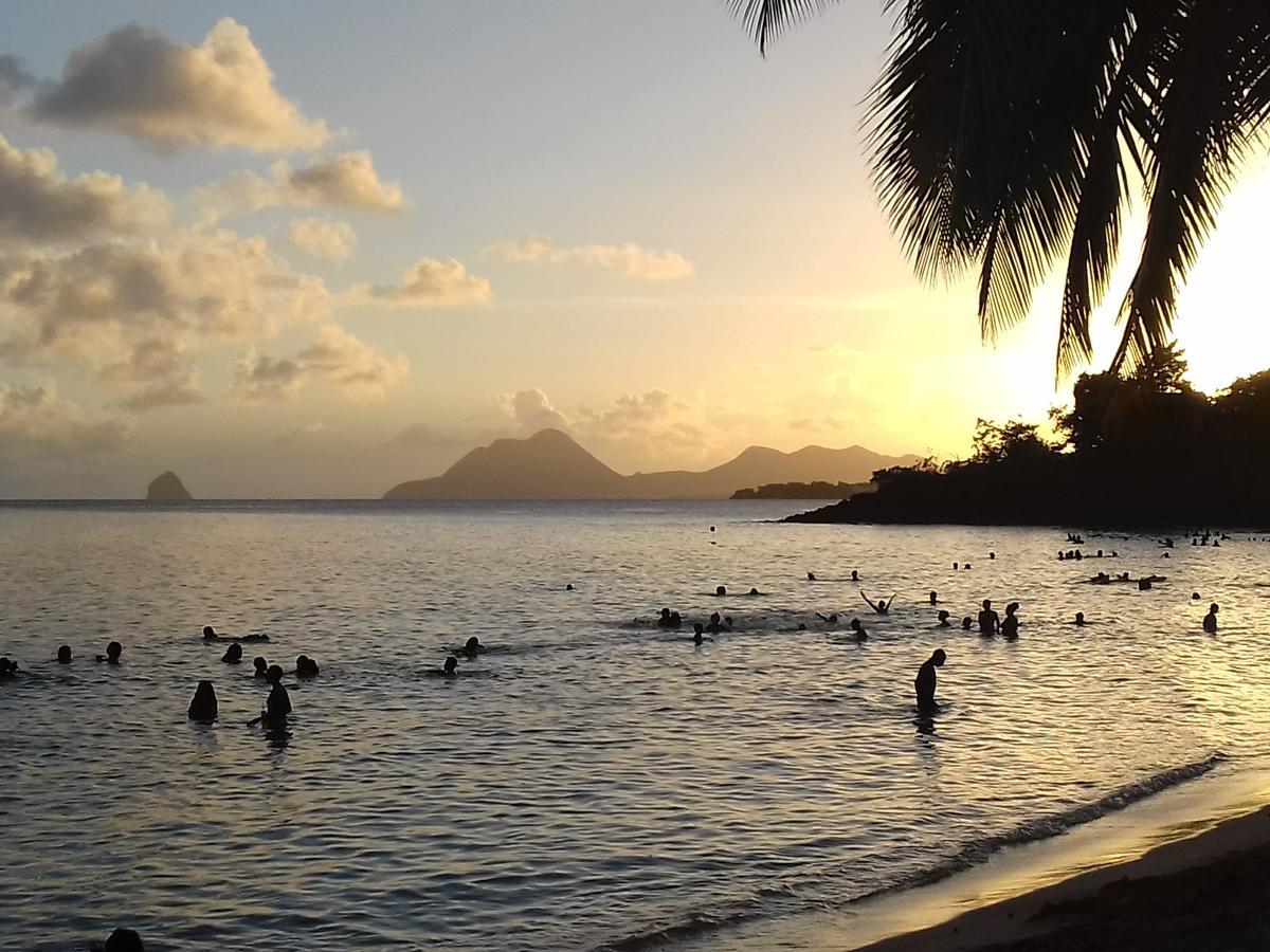 Appartement Hibiscus Martinique Le Lamentin Dış mekan fotoğraf